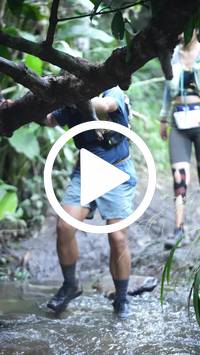 BIB:  <button type="button" onclick="openModal(27824753)" class="btn btn-primary btn-sm float-right" data-toggle="modal" data-target=".modal-high-quality">
                <i class="fa fa-download"></i> Download
                </button>